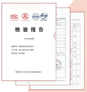 氣體滅火檢測報(bào)告