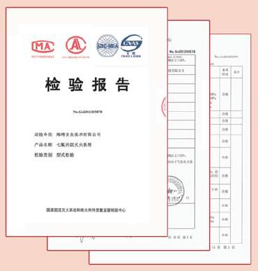 有管網(wǎng)氣體滅火檢測報(bào)告